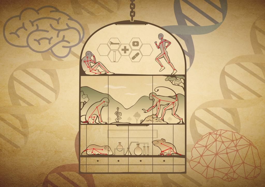 Nature Machine Intelligence ｜ 球速体育（籌）提出自由社交行為的人工智能精細化分析方法